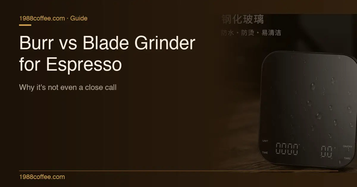 Burr vs Blade Grinder for Espresso: Why It's Not Even a Close Call COFFEECONCEPT